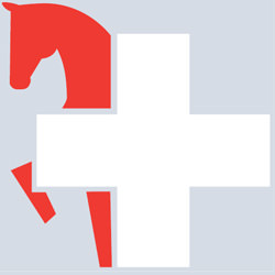 Kooperationspartner SFRV – Schweizer Freizeitreitverband